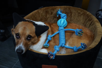 BOY 18 INCH BLUE KNOTTED ROPE DOG TOY