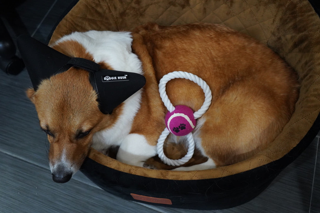 Figure 8 Rope and Ball Dog Toy