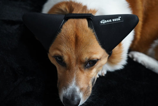Doggie Hush™ Pro — Professional-Grade Noise-Cancelling Headphones/ Earmuffs for Dogs