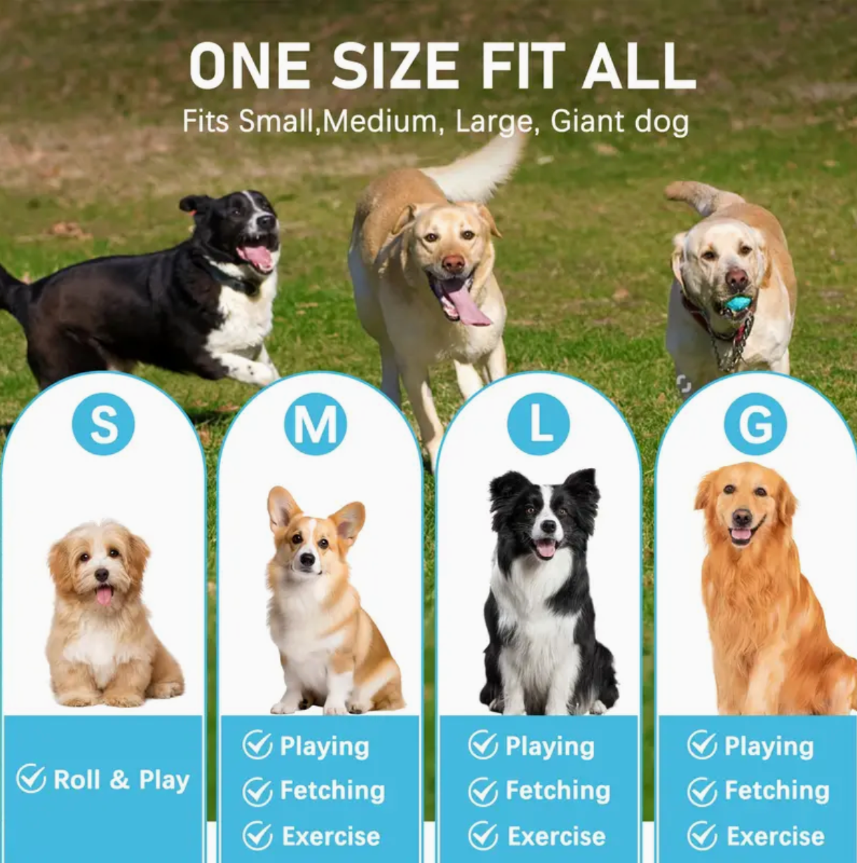 Small squeaky tennis balls for dogs hotsell