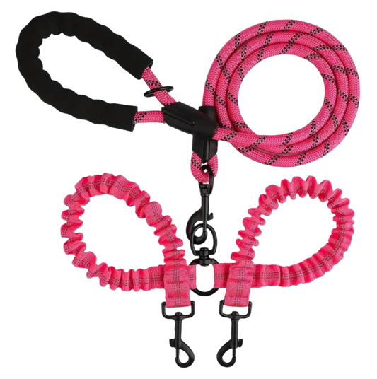 TWO-DOG 360° NO-TANGLE SWIVEL LEASH