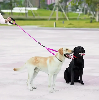 TWO-DOG 360° NO-TANGLE SWIVEL LEASH