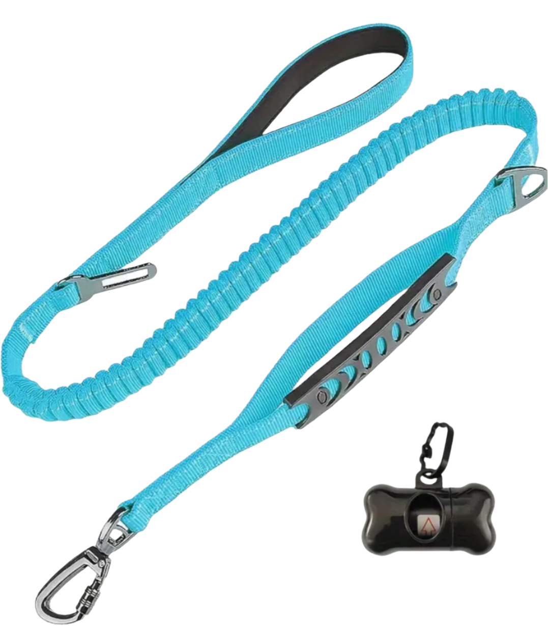 ULTIMATE STRETCH BUNGEE DOG LEASH