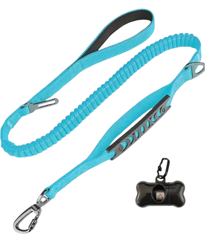 ULTIMATE STRETCH BUNGEE DOG LEASH