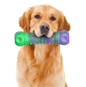 Purple & Green Skull Bone Indestructible Chew Toy