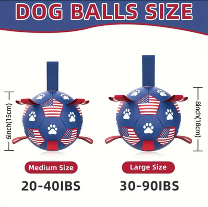 USA Soccer Ball & Pump
