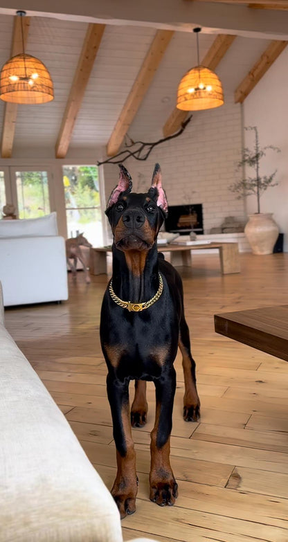 Luxury Gold Dog Necklace Collar – Elegant Pet Jewelry