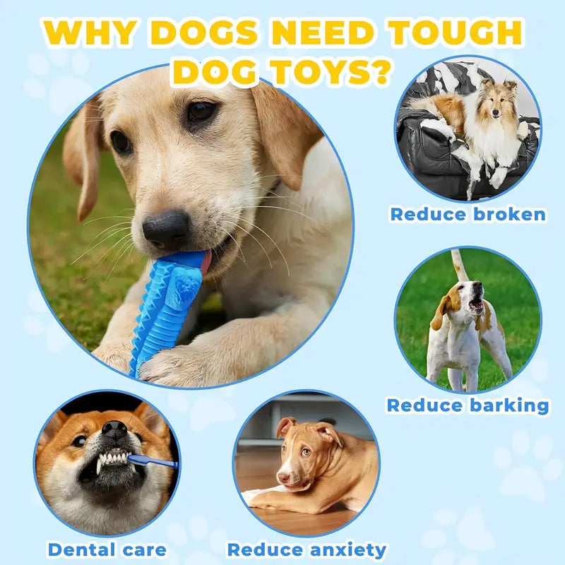 Indestructible Blue Lizard Dog Toy For Heavy Chewers Healthy Chew