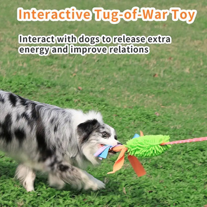 BUNGEE SQUEAKY TUG DOG TOY