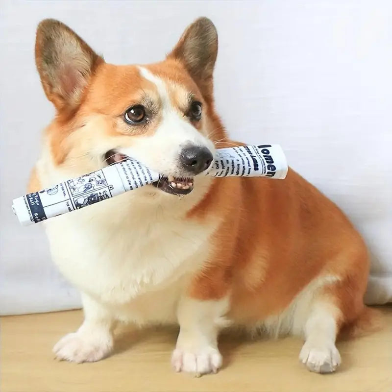DURABLE CRINKLE PAPER DOG TOY