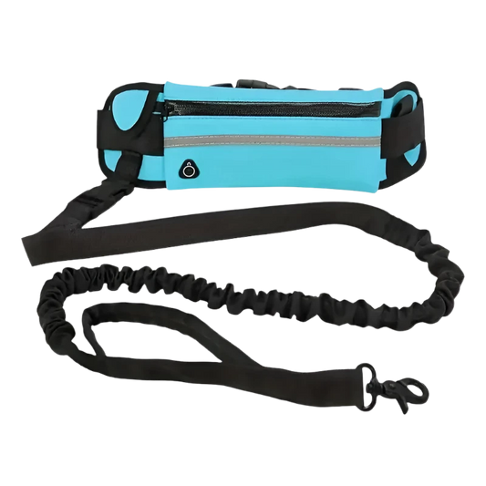 HANDS-FREE REFLECTIVE DOG LEASH