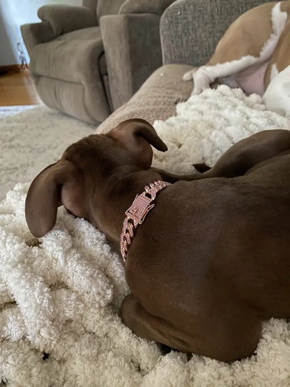 ROSE GOLD DIAMOND DOG CHAIN