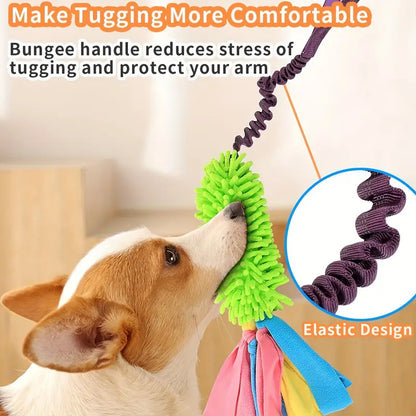 BUNGEE SQUEAKY TUG DOG TOY