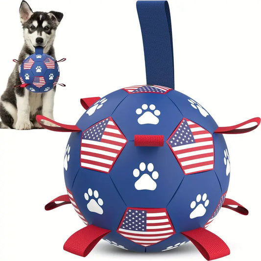 Maga USA Soccer Ball & Pump
