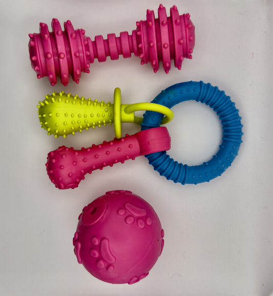 Key Ring Dog Toy Bundle – Barbell, Natural Rubber & Key Ring Toys for Endless Fun (RANDOM COLOR)
