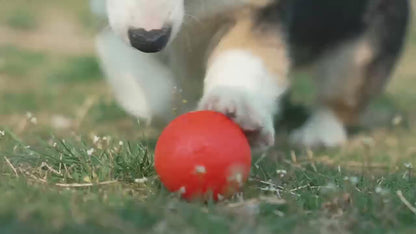 SMARTROLL AUTOMATIC DOG BALL