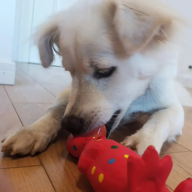 Latex Squeaky Chicken Healthy Chew Dog Toy For Large Dogs