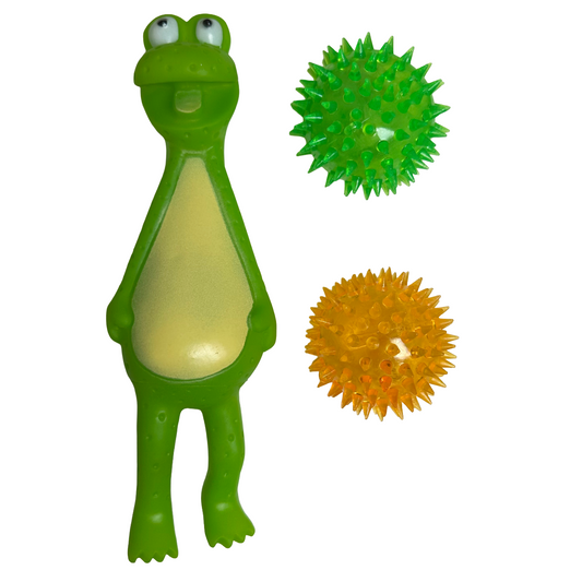 Squeaky Frog Dog Toy Bundle