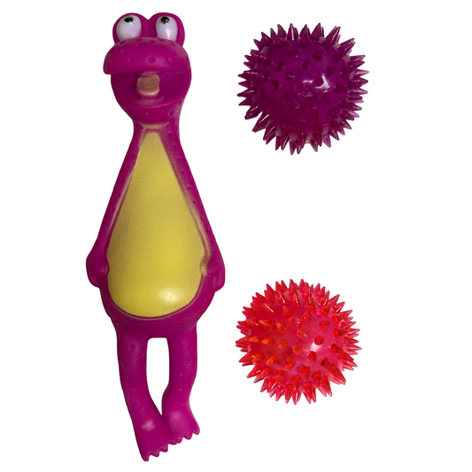Squeaky Frog Dog Toy Bundle